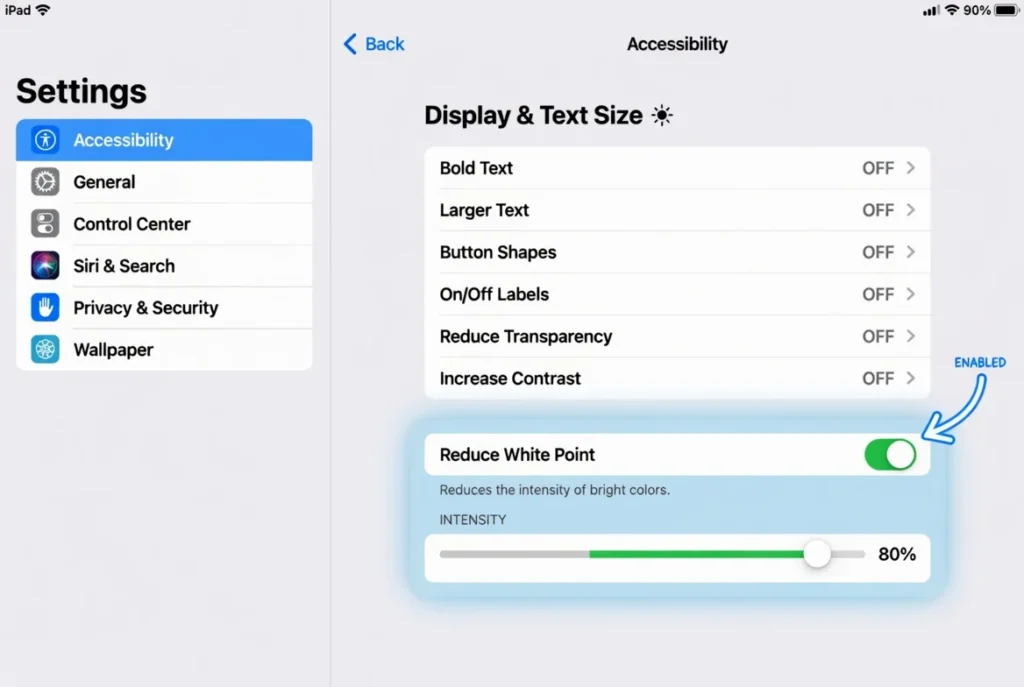  iPad Settings showing Reduce White Point toggle enabled under Accessibility Display and Text Size menu with intensity slider at 80 percent